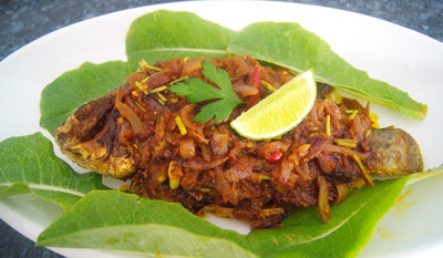 Tilapia Fry/Vuna